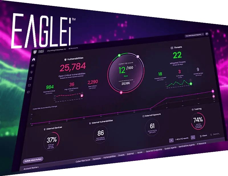 eaglei-video-v3-preview